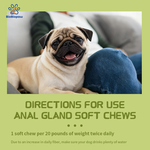 कुत्ते की गुदा ग्रंथि नरम चबाना पूरक कद्दू बीज + प्रोबायोटिक प्रतिरक्षा समर्थन सभी के लिए मल स्थिरता गुदा ग्रंथि स्वास्थ्य को अनुकूलित करता है - Product Image 5