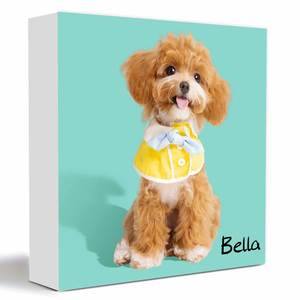 Ons Lokale Voorraad Custom Huisdier Kat Hond Foto 'S En Naam Mdf Tafel Display Geschenken Voor Thuis Decoraties Huisdier Verjaardagsfeestje Decor Frame - Product Image 5