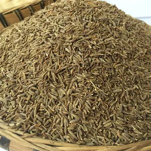 Çin fabrika toplu fiyat kimyon tohumları Cuminum Cyminum baharat