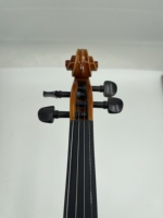 Adult Violin All Solid Wood Violin Profesional with Case