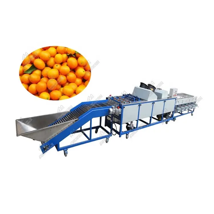 Fruit Wassen Drogen Waxen En Grades Sorteermachine Fabriek Fruit En Groente Sorteren Productielijn