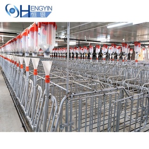Precio al por mayor: Equipo para corrales <span class=keywords><strong>de</strong></span> parideras y gestación <span class=keywords><strong>de</strong></span> <span class=keywords><strong>cerdos</strong></span>, jaulas <span class=keywords><strong>de</strong></span> gestación para cerdas - Product Image 6