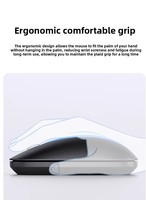 Accessoires d'ordinateur portable personnalisés en usine OEM Souris sans fil 3D ergonomique optique 1200DPI 2.4G