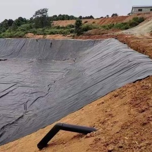 Venta caliente Certificados CE Geomembrana impermeable de HDPE Ldpe para lagunas de lodo y estanques de algas - Product Image 4