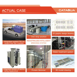 Système d'aquaculture RAS professionnel pour l'élevage de crabes et de homards australiens, matériaux PP/SS304/SS316, capacité de 10 à 200 m/h, CATAQUA - Product Image 5