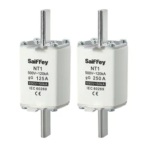 SAFEI NT1 500V 250A GG Ceramic Fuse Link Low Voltage Blade Type Fuse Manufacturer OEM