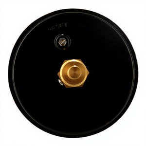 Горячая Распродажа черный стальной корпус термометр для горячей воды - Product Image 6