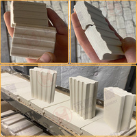 Extrudeuse à vide pour la fabrication automatique de briques en argile