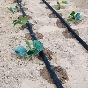 Ad alta pressione 20mm stella tubo di irrigazione a goccia 33 CM PE materiale stampo servizio di lavorazione <span class=keywords><strong>per</strong></span> l'agricoltura - Product Image 3