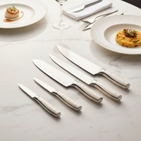 Ensemble de 6 couteaux de cuisine professionnels en acier inoxydable 40Cr14, comprenant un couteau Santoku, un couteau à découper la viande, un couteau utilitaire et un couteau à éplucher, avec manche en ABS.