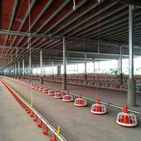 Mangeoire automatique pour poulets U-BEST de qualité supérieure, en plastique, pour volailles, garantie 5 ans, prix bas