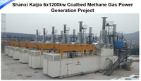 Groupe électrogène au gaz de bois de 1000 kW à vendre