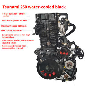 Motor de Motocicleta de 250cc Refrigerado por Líquido - Product Image 1