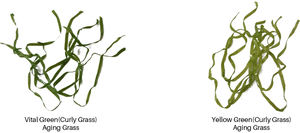 QINGZHOU S003 Mini Putting Golf Green Césped <span class=keywords><strong>artificial</strong></span> para exteriores de alta densidad - Product Image 4