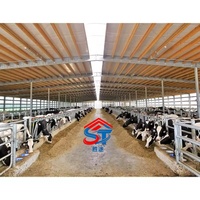 Nave Prefabricada de Acero para Ganado, Cobertizo Abierto de Gran Envergadura, Estructura Metálica para Granja Ganadera y Almacenamiento Agrícola