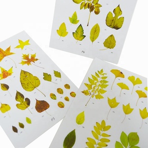 Miếng Dán Cửa Sổ Bám Tĩnh Điện Hình Lá Rơi - Product Image 5