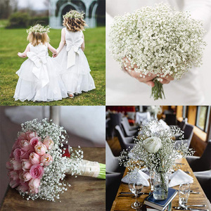 SuperZ Baby Breath Fleurs Artificielles Gypsophila Bouquets Fausses Fleurs au Toucher Réel pour Mariage Fête Décoration de Jardin Décoration Intérieure - Product Image 3