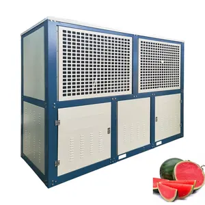 Unidade de condensação de congelamento FNVB/unidade de condensação de refrigeração/unidade de condensação hermética Maneurop Compressor FNVB
