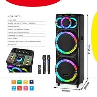 Haut-parleurs portables sans fil doubles de 12 pouces à faible MOQ pour utilisation directe avec lumières RGB, microphone, audio pour danse de rue, carte enfichable, en plastique