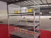Meilleur Prix Équipement Avicole Automatique Cage Batterie pour Poules Pondeuses avec Tôles Abri Poulailler 3 Niveaux 2 Maisons à Poulets 68
