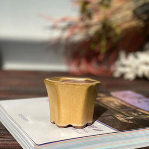 Mini pot de plantes succulentes pour décoration de jardin, vente en gros, avec trou de Drainage - Product Image 6