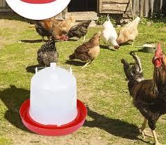 1-30L Broiler Farm Manual Pollo Bebedero de agua Alimentador y bebedero para aves de corral a la <span class=keywords><strong>venta</strong></span> - Product Image 3