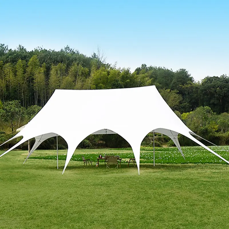 Heavy Duty Twin Pole Commercial Tents Trade Show Star Canopy Marquee Tents for Sale