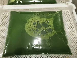 ราคาดี คุณภาพสูง ผักและผลไม้แช่แข็งยี่ห้อ DSF มาตรฐาน HACCP จากจีน บรรจุภัณฑ์แบบก้อนขนาด 10 กก. ผักคะน้าแช่แข็ง - Product Image 3