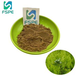 식물 모발 성장 활성 성분 Platycladus Orientalis 잎 추출물 분말 10:1 Platycladus Orientalis 잎 추출물 - Product Image 1