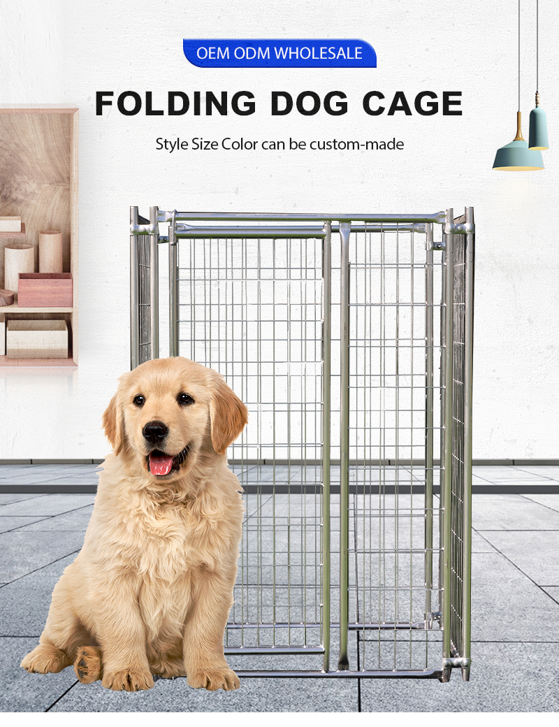 Outdoor Dog Kennels at Lowe's Affordable and Comfortable Spaces for Your Furry Friend!