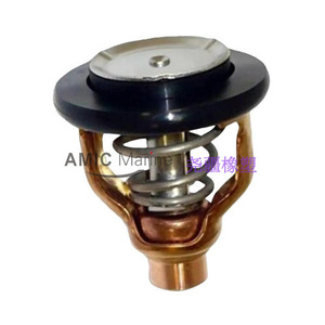 Nouveau thermostat de carter de moteur hors-bord Yamaha 300 CV 350 CV, thermostat de liquide de refroidissement pour voiture, modèle neuf 6AW-12411-00 - Product Image 2