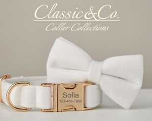 Collar y Correa para Cachorro con Lazo de Terciopelo Personalizado, Diseño Sólido y Hebilla Metálica con Nombre Grabado - Product Image 3