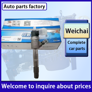 Nuovo Prezzo Basso: Iniettore Carburante 1000000623 per Motore Diesel Weichai WP2.3 Doctor - Product Image 5