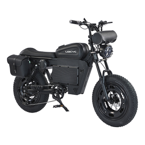 V20 En Stock Vélo Électrique le Plus Rapide 250W 750W 1000W Vélo Électrique 25km/h Fabricants de Vélos Électriques en Chine - Product Image 3