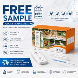 Kit de Prueba Rápida para Aves de Corral, Tira de Detección de Bronquitis y Enfermedad de Newcastle para la <span class=keywords><strong>Gestión</strong></span> de Granjas Avícolas - Product Image 3