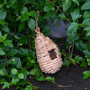 Nid d'oiseau en paille tissé à la main, taille moyenne, pour la décoration de jardin d'oiseaux - Product Image 4
