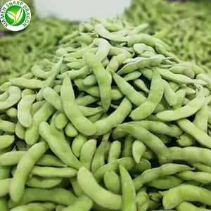 סיטונאי באיכות גבוהה וIQF קפוא ירוק edamame סויה שעועית