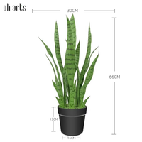 OH vente en gros Nouveau design Plante artificielle Bonsaï Plante serpent à toucher réel et verdure avec pot pour décoration intérieure et extérieure