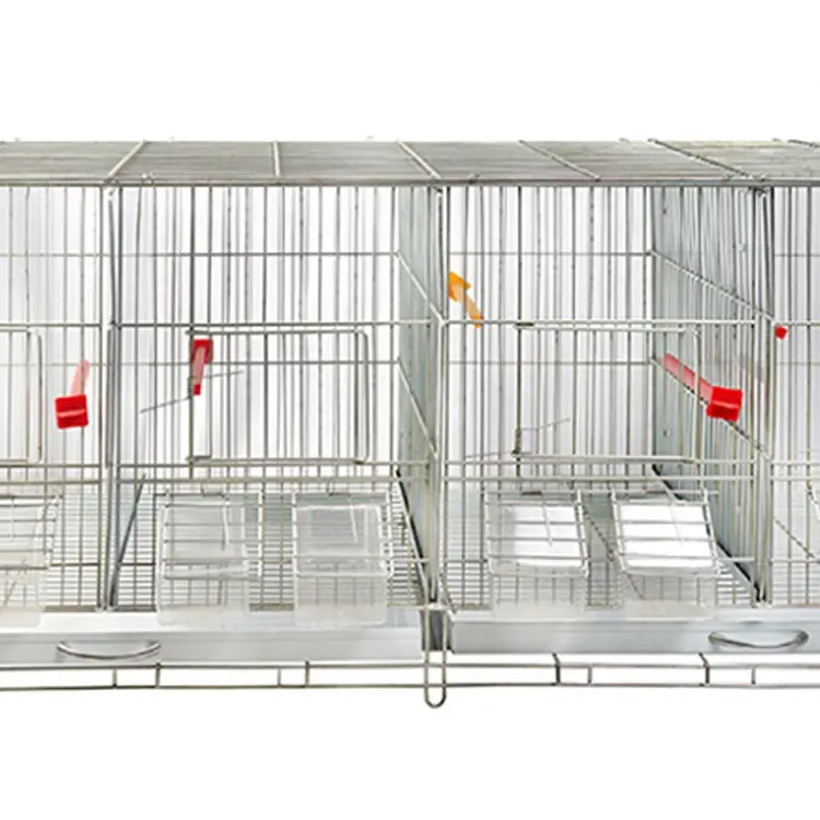 Manufacturer OEM Design 4 Spaces Steel Canary Pet Breeding Bird Cage Portable Pet Parrot Cage