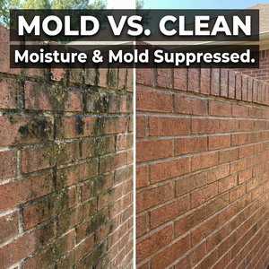 Revestimiento Impermeabilizante Antimoho para Paredes Exteriores, Revestimiento de Prevención de Moho, Prevención de Hongos - Product Image 6