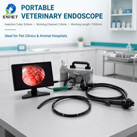Gastroscope et colonoscope portables de dernière technologie EUR PET, équipement vétérinaire, endoscope flexible pour animaux