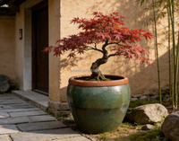 Jardinière en céramique à large base, grands pots de fleurs d'extérieur pour aménagement paysager de villa, cour et jardin