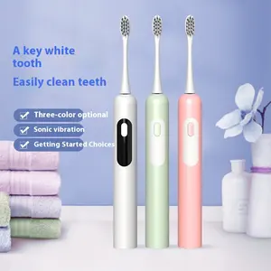 Offre spéciale échantillon gratuit brosse à dents électrique Sonic Oral Care alimentée par batterie