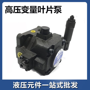 ปั๊มใบพัดปรับแรงดันปานกลางและสูง HVPVC-F30/F40/F20-A2/A4/A3-02 ปั๊มน้ำมันไฮดรอลิก ปั๊มไฮดรอลิก - Product Image 3