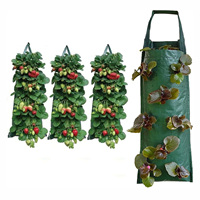 Sac de culture suspendu à 10 trous pour tomates, poivrons, herbes et légumes, pot à fraises inversé, jardin suspendu, sacs de culture pour tomates