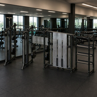 Station de musculation modulaire avec câbles, rangement de plaques de poids, barre de traction et barres de dips pour entraînement fonctionnel de force