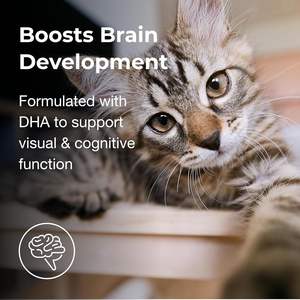 ODM OEM <span class=keywords><strong>Lait</strong></span> en poudre de chèvre riche en protéines pour animaux de compagnie, substitut du <span class=keywords><strong>lait</strong></span> <span class=keywords><strong>maternel</strong></span>, enrichi en vitamines, colostrum pour chiens, chatons et chats - Product Image 5