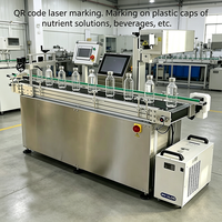 Machines de marquage laser automatiques avec système de convoyeur pour les bouteilles en verre et en plastique, les lignes d'emballage des aliments, des boissons et des cosmétiques