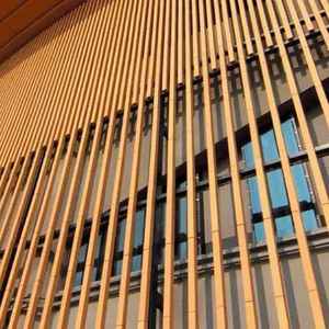 ผนังม่านแผ่นเซรามิกดินเผาภายนอกที่ทันสมัยสำหรับวิลล่า โรงแรม และห้องโถง - Product Image 4