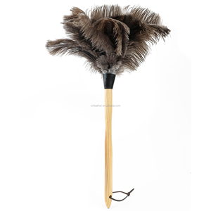 <span class=keywords><strong>Plumeau</strong></span> en Plumes d'Autruche Véritables avec Manche en Bois, Plumeaux de Nettoyage Naturels et Moelleux pour la Maison, le Bureau et les Surfaces Délicates - Product Image 5